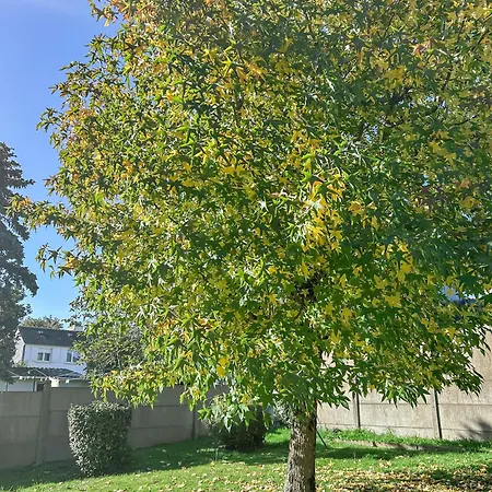 Maison Rivage - 5min - Jardin & Terrasse - Charme Authentique - Parking Et Wifi Inclus - Les Cles Du Pays De Retz - Speciale *