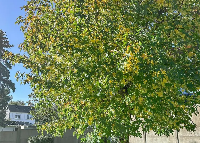 Maison Familiale à 500m Des Plages Avec Jardin *